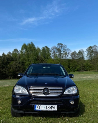 Mercedes-Benz ML cena 38500 przebieg: 242465, rok produkcji 2003 z Wolbrom małe 254